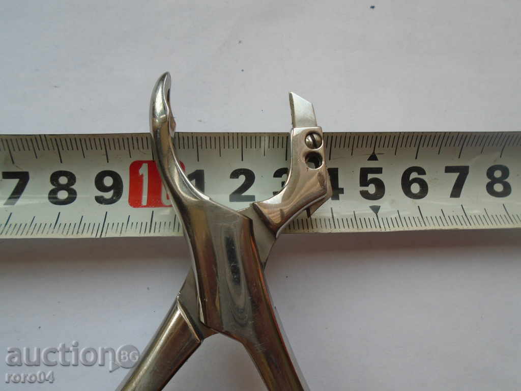 DENTAL MUSHROOMS - 7 DENTAL MUSHROOMS - 7