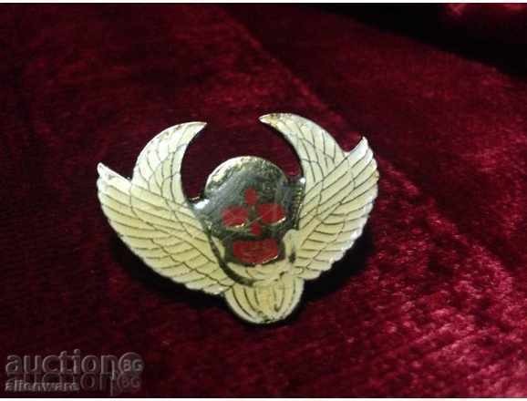 insignă - 5 insignă - 5