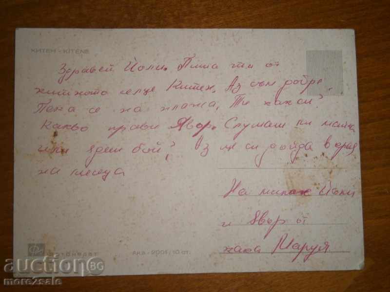 Card - KITEN - SIGNED with price 0.75 BGN | € 0.38