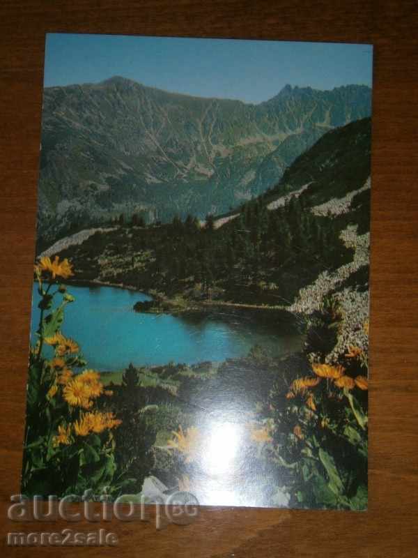 Postcard - PIRIN - VASILISH LAKE WITH "STARS"