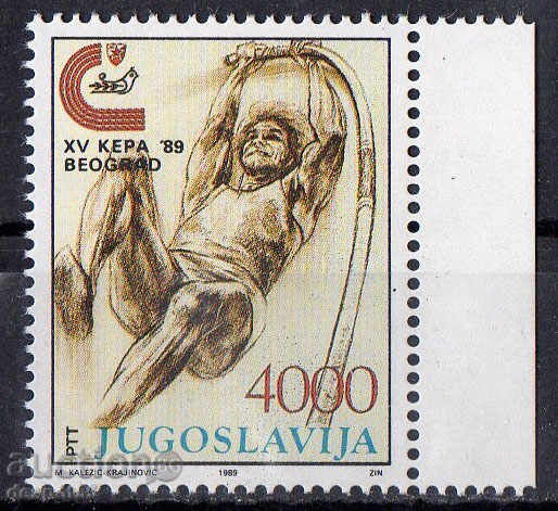 1989. Yugoslavia. European Athletics Cup, Belgrade.