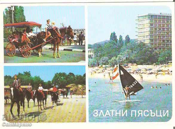 Carte poștală Bulgaria Varna Golden Sands 12 *