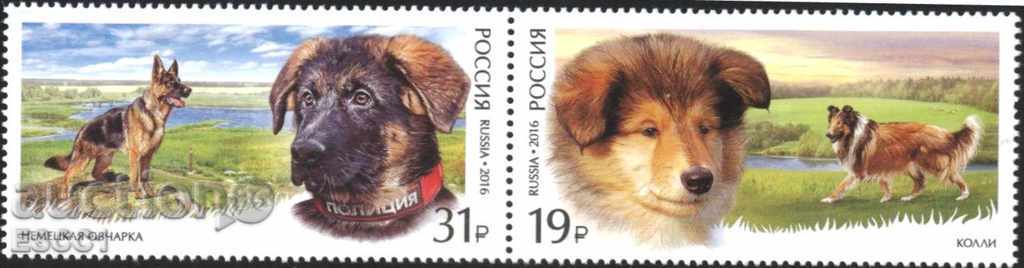 Καθαρίστε τα σήματα Πανίδα σκυλιά 2016 από τη Ρωσία