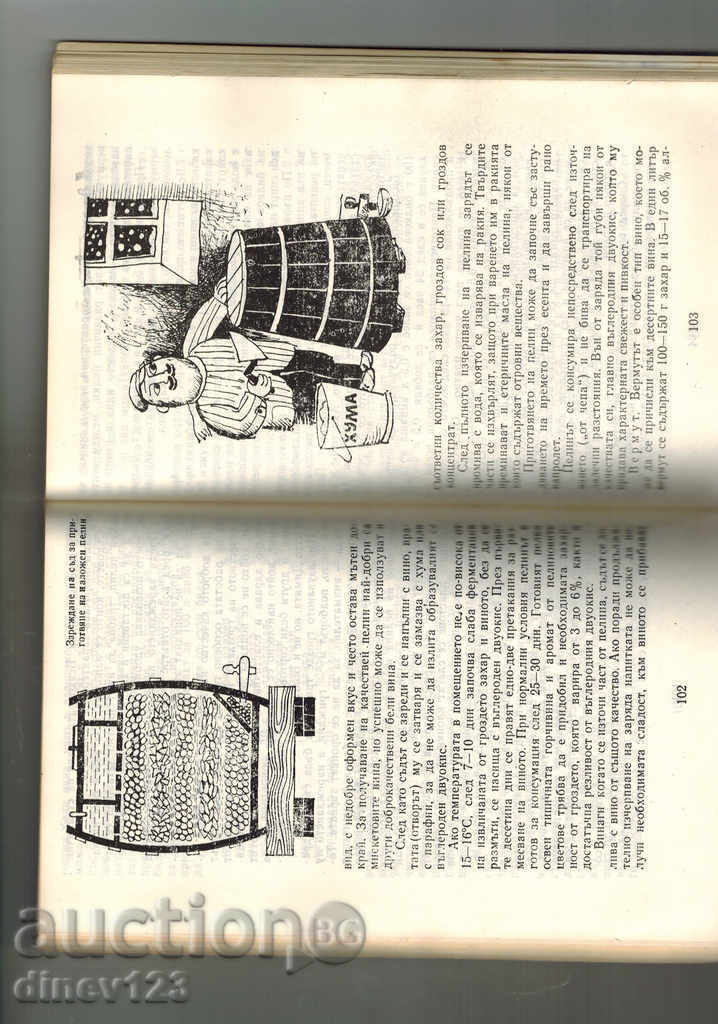 Livrarea BAUTURI de struguri și fructe - I. Chalkov