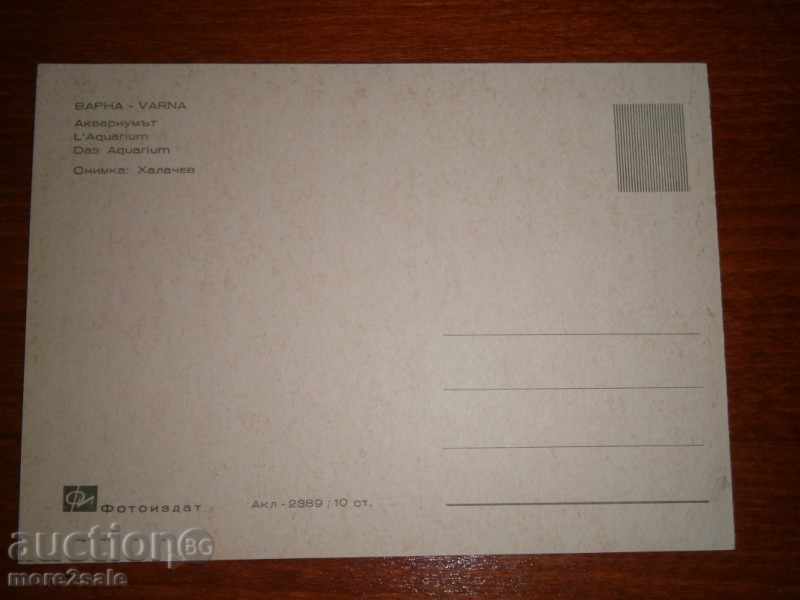 Card - VARNA - AQUARIUM - PURPOSE with price 1.95 BGN | € 1.00 Card - VARNA - AQUARIUM - PURPOSE with price 1.95 BGN | € 1.00