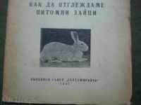 Как да отглеждаме питомни зайци.Стефан Куманов
