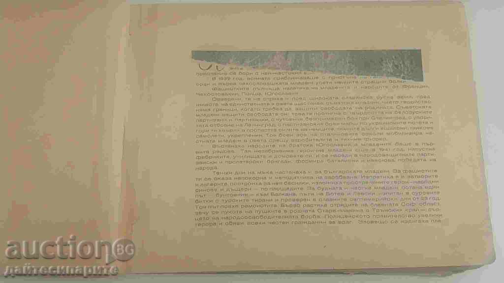 Auction Album - About Freedom Auction Album - About Freedom