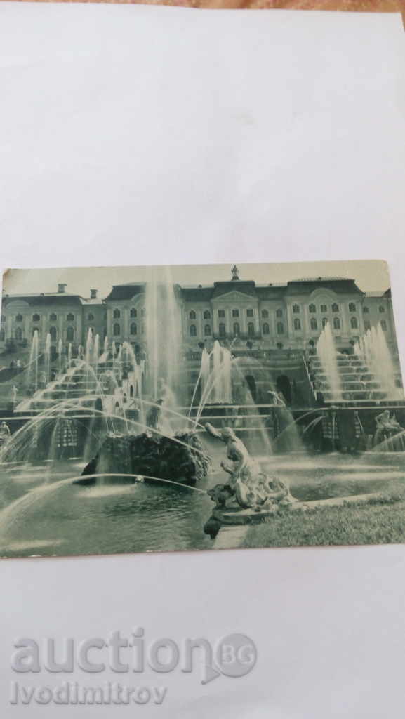 Postcard Petrodvorets Bolshoy Palace and Bolshoy Cascade