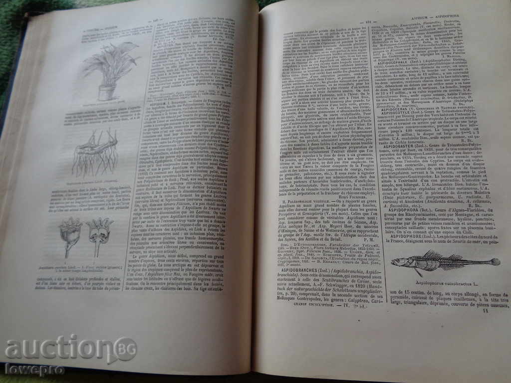 Auction Great French Encyclopedia Auction Great French Encyclopedia