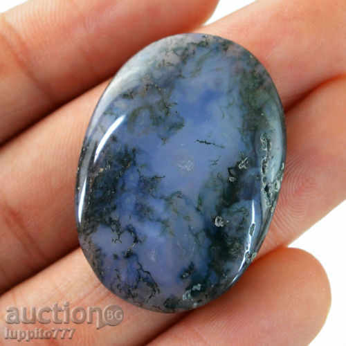 mușchi agat cabochon cu preț 34.99 BGN | € 17.89 mușchi agat cabochon cu preț 34.99 BGN | € 17.89