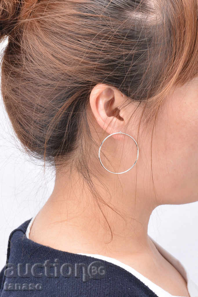 Silver earrings - rings with price 10.00 BGN | € 5.11 Silver earrings - rings with price 10.00 BGN | € 5.11