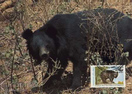 Licitație Set de cărți maxime WWF Pakistan 1989 - urs himalayan