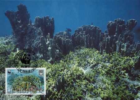 Auction WWF set of cards maximum Tuvalu 1992 - corals Auction WWF set of cards maximum Tuvalu 1992 - corals
