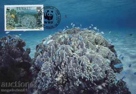 Delivery of WWF set of cards maximum Tuvalu 1992 - corals Delivery of WWF set of cards maximum Tuvalu 1992 - corals