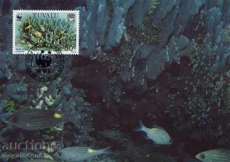 WWF set of cards maximum Tuvalu 1992 - corals