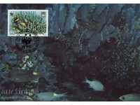 Set de carduri WWF maxim Tuvalu 1992 - corali