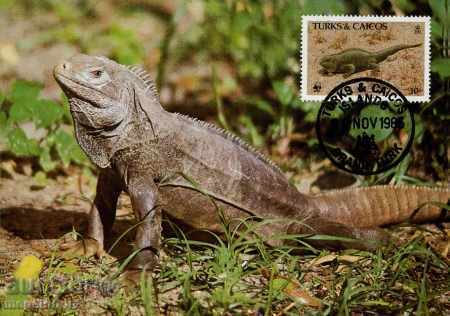 WWF card set maximum Turks & Caicos 1986 - iguana with price 3.00 BGN | € 1.53 WWF card set maximum Turks & Caicos 1986 - iguana with price 3.00 BGN | € 1.53