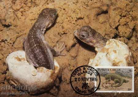 Auction WWF card set maximum Turks & Caicos 1986 - iguana Auction WWF card set maximum Turks & Caicos 1986 - iguana