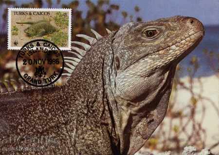 Delivery of WWF card set maximum Turks & Caicos 1986 - iguana Delivery of WWF card set maximum Turks & Caicos 1986 - iguana