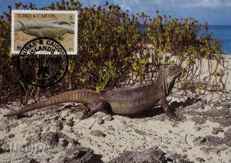 Η κάρτα WWF ορίστηκε το μέγιστο Turks & Caicos 1986 - iguana