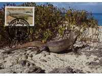 Cartea WWF a stabilit maximul Turks & Caicos 1986 - iguana