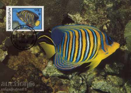 WWF card set maximum Maldives 1986 - reef fish with price 3.00 BGN | € 1.53