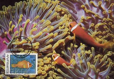Auction  WWF card set maximum Maldives 1986 - reef fish