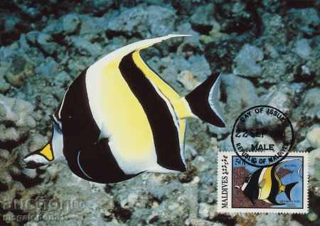 WWF înființat hărți Maldive 1986 - pește recif