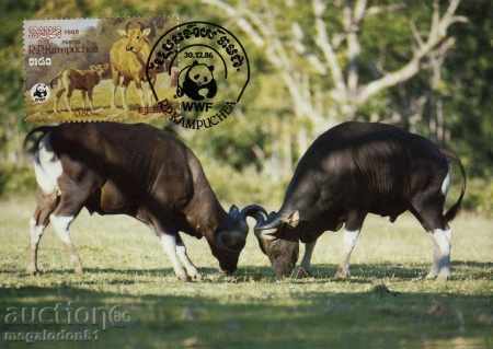 Δημοπρασία WWF σετ καρτών maximum Καμπότζη 1986 - βουβάλια