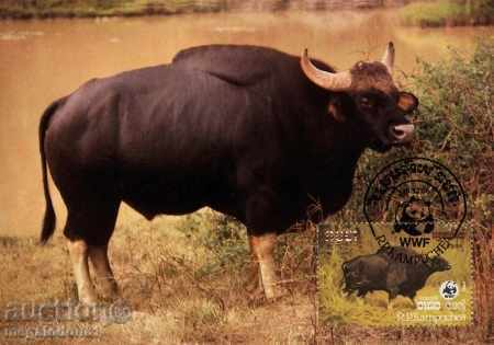 Delivery of WWF card kit maximum Cambodia 1986 - buffalo Delivery of WWF card kit maximum Cambodia 1986 - buffalo