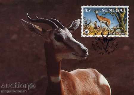 Auction  WWF card set maximum Senegal 1986 - Gazelle