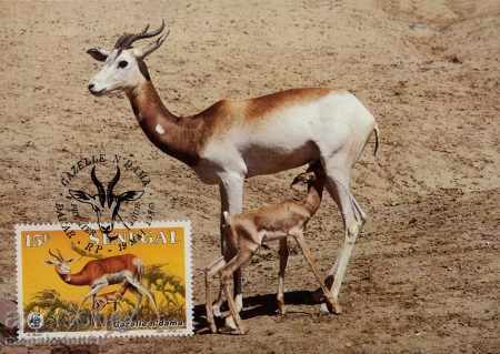 WWF înființat hărți Senegal 1986 - Gazelle