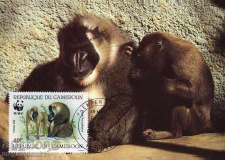 WWF Card Set Maximum Cameroon 1988 - Dairy with price 3.00 BGN | € 1.53