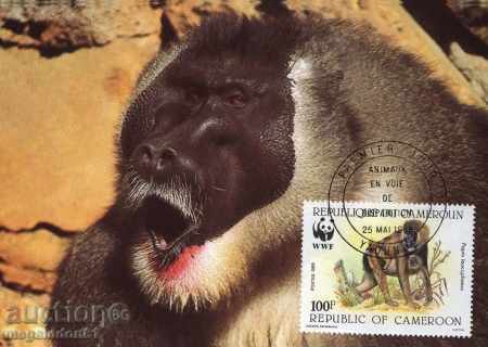 Delivery of WWF Card Set Maximum Cameroon 1988 - Dairy
