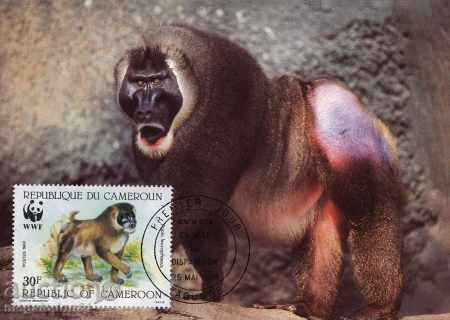 WWF комплект карти максимум Камерун 1988 - мандрил