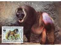 WWF комплект карти максимум Камерун 1988 - мандрил