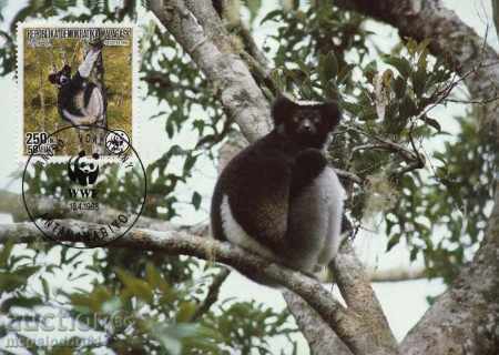 Auction WWF card set maximum Madagascar 1988 - lemurs Auction WWF card set maximum Madagascar 1988 - lemurs