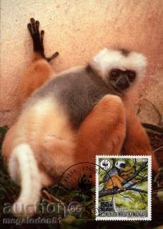 WWF card set maximum Madagascar 1988 - lemurs with price 3.00 BGN | € 1.53 WWF card set maximum Madagascar 1988 - lemurs with price 3.00 BGN | € 1.53