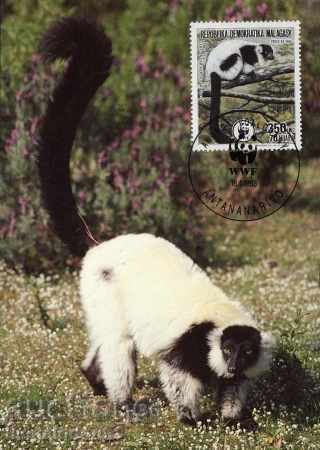 Delivery of WWF card set maximum Madagascar 1988 - lemurs Delivery of WWF card set maximum Madagascar 1988 - lemurs