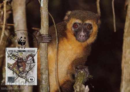 WWF комплект карти максимум Мадагаскар 1988 - лемури