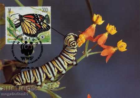 Auction  WWF Max Map Set - Mexico 1988