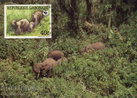 WWF card set maximum - Gabon 1988 with price 3.00 BGN | € 1.53 WWF card set maximum - Gabon 1988 with price 3.00 BGN | € 1.53