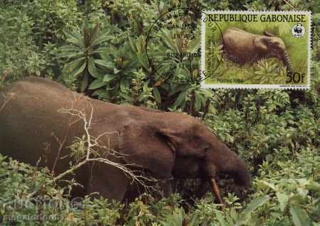 Auction WWF card set maximum - Gabon 1988 Auction WWF card set maximum - Gabon 1988