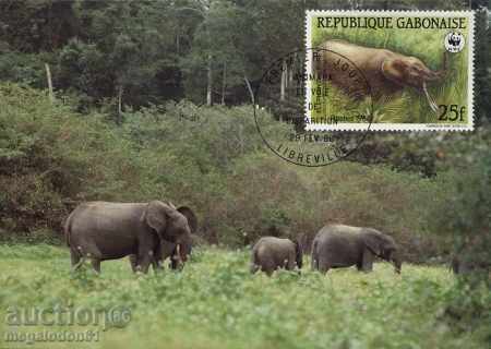 WWF card set maximum - Gabon 1988