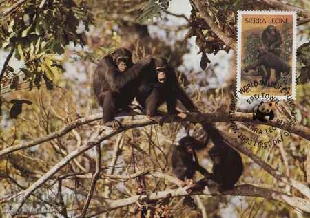 WWF Sierra Leone 1984 - Cards Max with price 7.00 BGN | € 3.58 WWF Sierra Leone 1984 - Cards Max with price 7.00 BGN | € 3.58