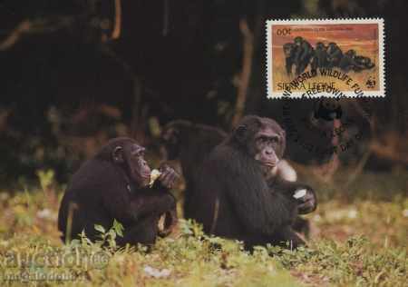 Delivery of WWF Sierra Leone 1984 - Cards Max Delivery of WWF Sierra Leone 1984 - Cards Max