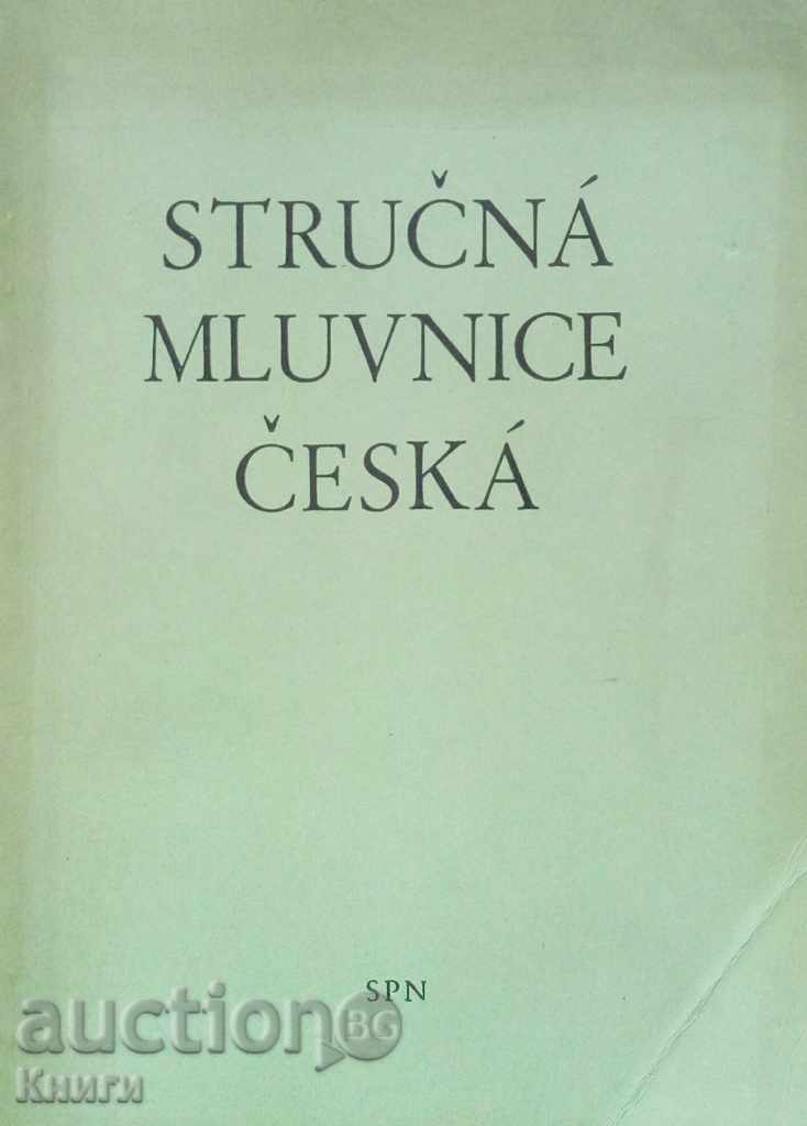 Brief Czech Grammar - Bohuslav Havranek, Alois Jedlička