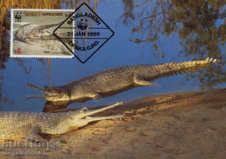 WWF carduri maximum Bangladesh 1990 - gavial cu preț € 2.58 | 5.05 BGN WWF carduri maximum Bangladesh 1990 - gavial cu preț € 2.58 | 5.05 BGN