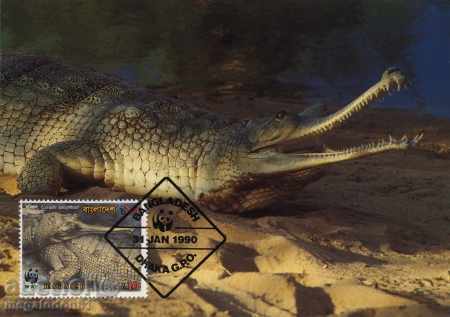 Livrarea WWF carduri maximum Bangladesh 1990 - gavial Livrarea WWF carduri maximum Bangladesh 1990 - gavial