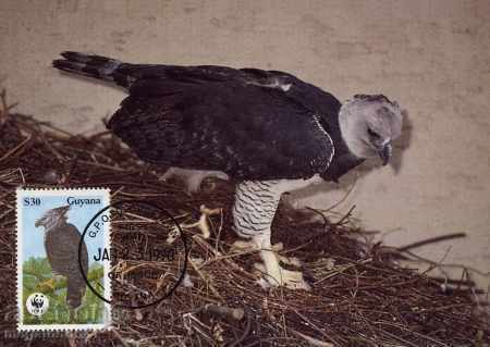 Delivery of WWF Maps Max Guiana 1990 - Eagle Harpia Delivery of WWF Maps Max Guiana 1990 - Eagle Harpia
